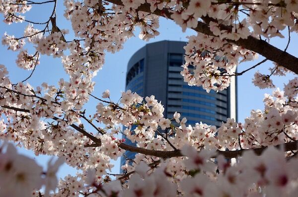 f:id:crycat3:20190409203815j:plain