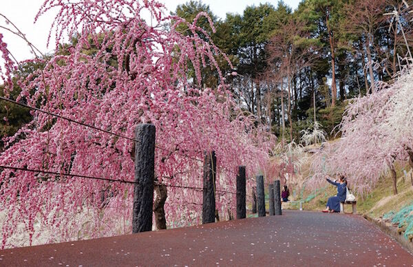 f:id:crycat3:20180315214742j:plain