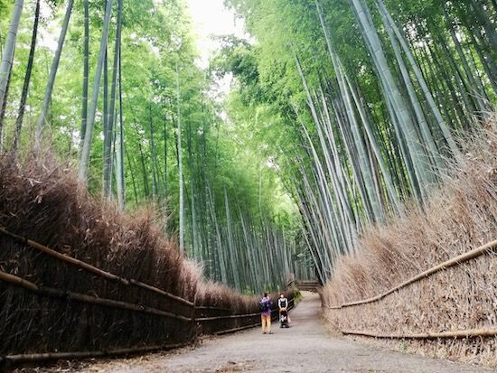 f:id:crycat3:20200722204832j:plain