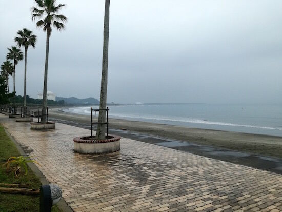 f:id:crycat3:20180908005629j:plain