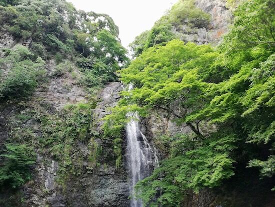 f:id:crycat3:20200610045616j:plain