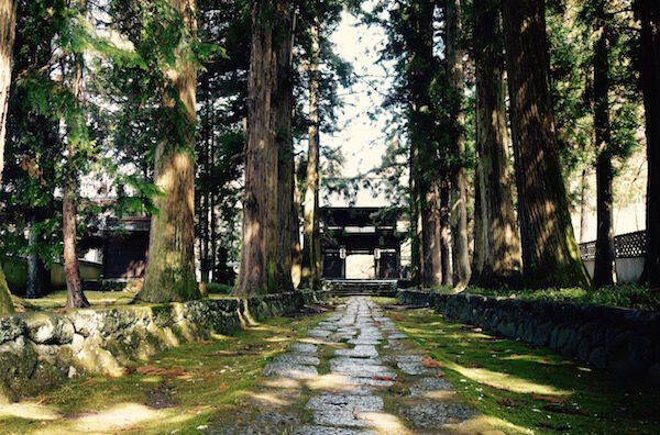 f:id:crycat3:20170329122039j:plain