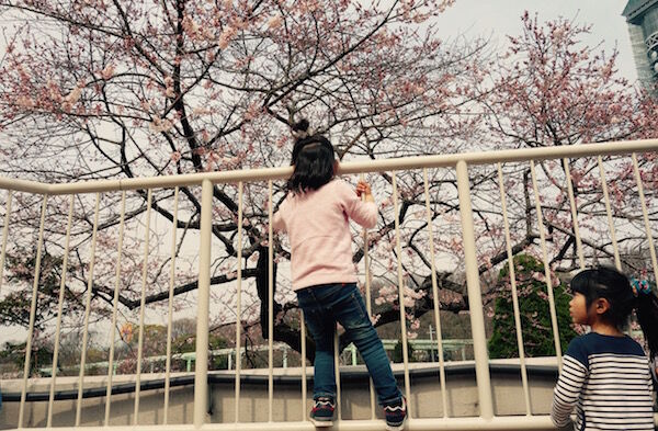 f:id:crycat3:20170330214128j:plain