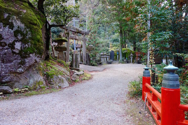 f:id:crycat3:20181129203658j:plain