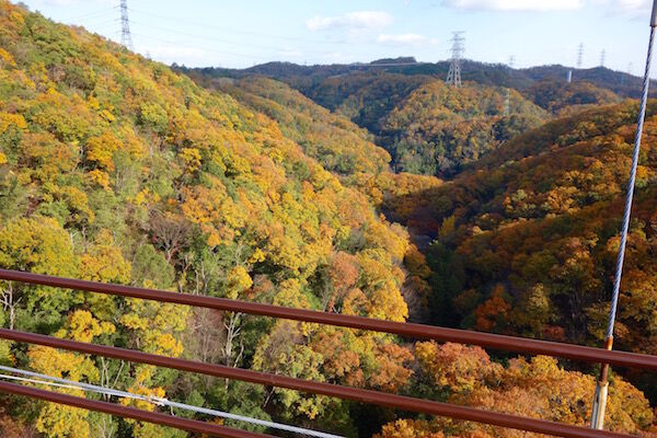 f:id:crycat3:20181129203634j:plain