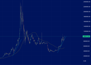 スクリーンショット (240)