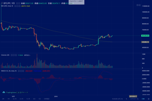 スクリーンショット (44)