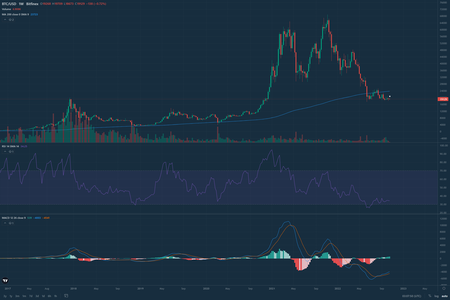 スクリーンショット (2293)
