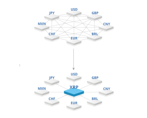 XRP01