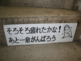 階段の応援