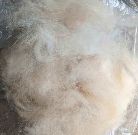 PXL_20230331_043542032~2