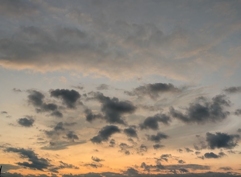 PXL_20251024_081638134