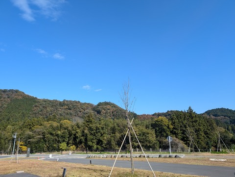 PXL_20241122_024324283