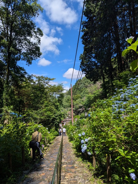 PXL_20260621_042201995