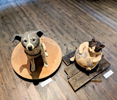 PXL_20240519_021142707~2