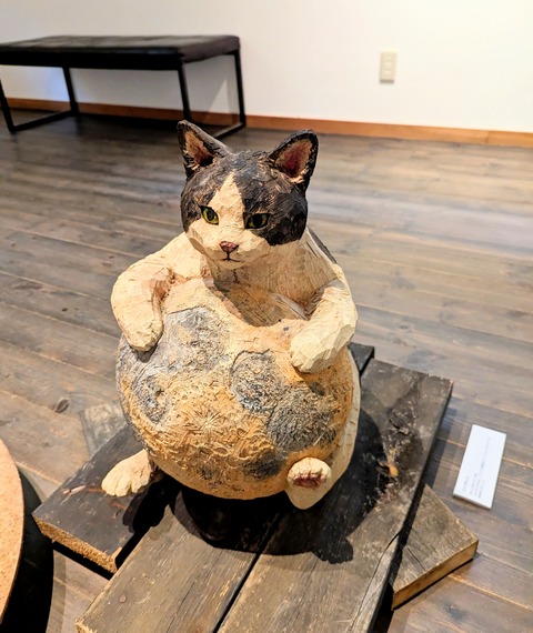 PXL_20240519_021203932~2