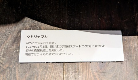 PXL_20240519_021153600~2