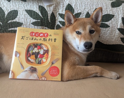 PXL_20250725_005808628~2