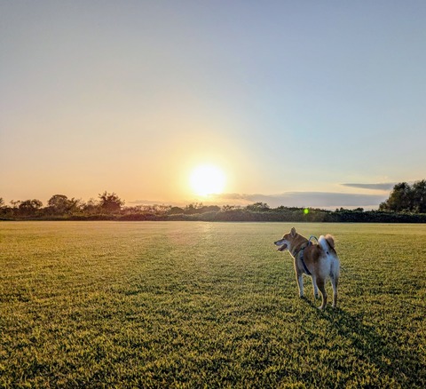 PXL_20251017_073008324~2