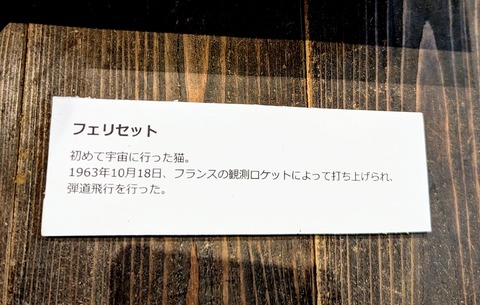 PXL_20240519_021158439~2