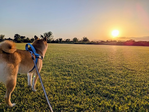 PXL_20251017_073024477~2