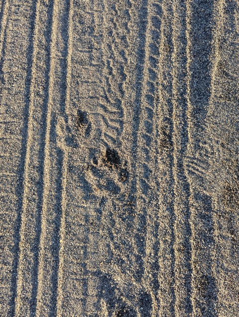 PXL_20251017_070458374