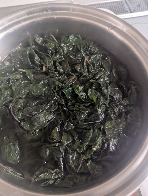 PXL_20250622_005212556