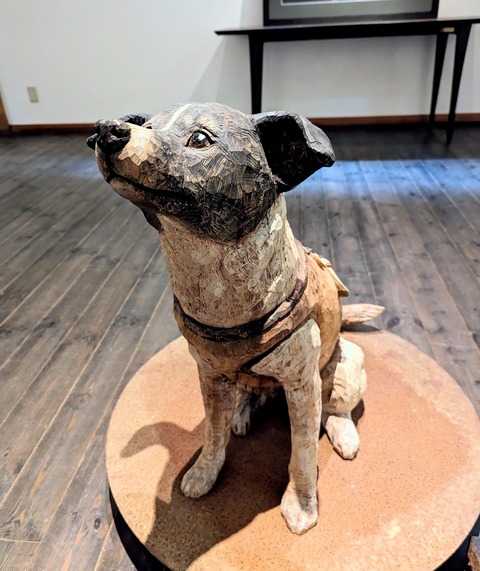 PXL_20240519_021209314