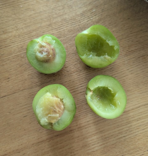 PXL_20250615_030432656~2