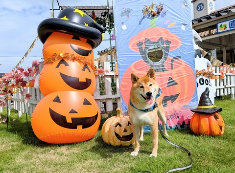 PXL_20251005_022334352~2