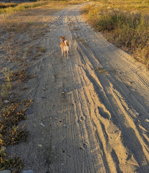 PXL_20251017_072024468~2