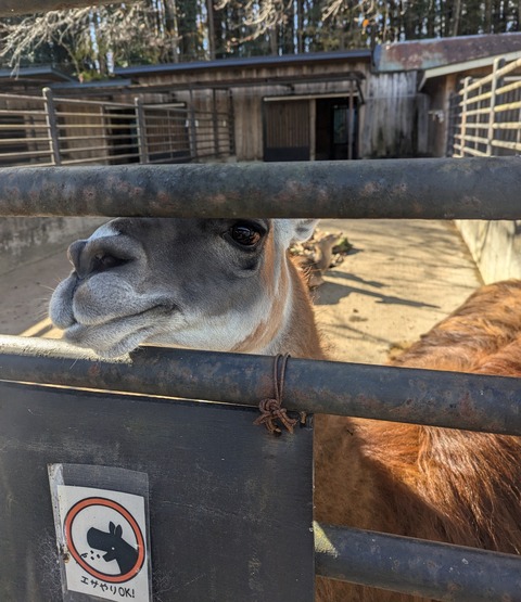 PXL_20241208_013740817~2