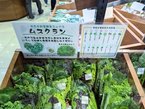 PXL_20250113_012021705~2