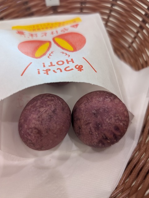 PXL_20240925_014235119