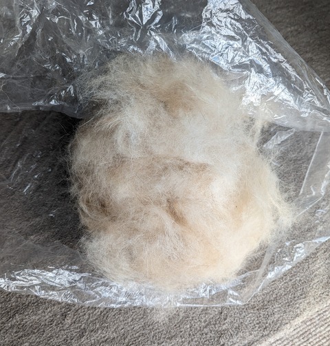 PXL_20230331_043545992~2