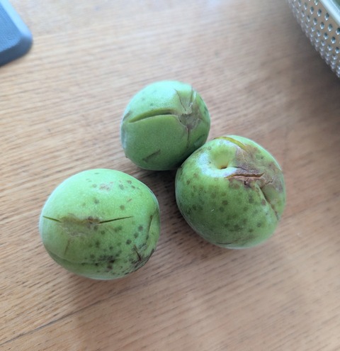 PXL_20250615_021040637~2