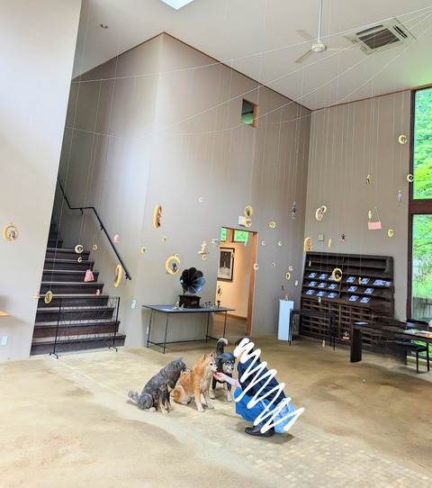 PXL_20240519_020941594~3