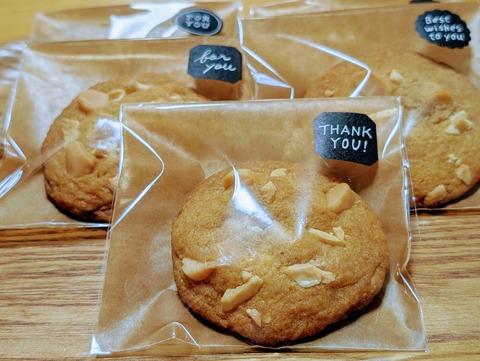 PXL_20240922_113624801~2