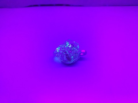 DSC_0769