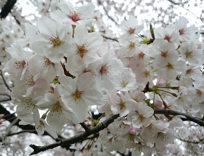 20160402_4