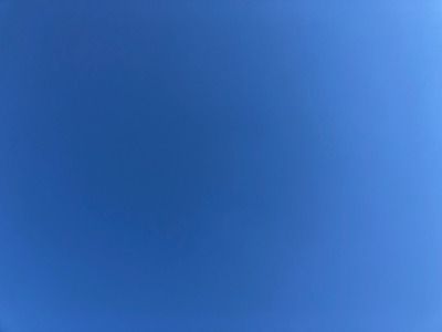 IMG_4726