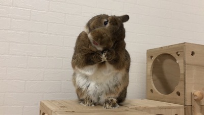 IMG_5859