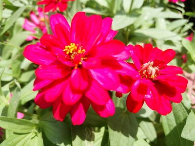 IMG_20170909_122330