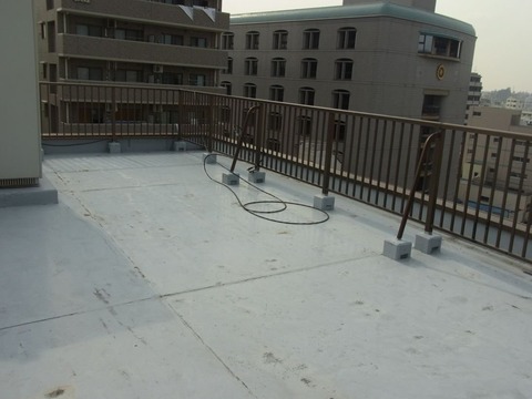 RIMG1824_R 日付なし