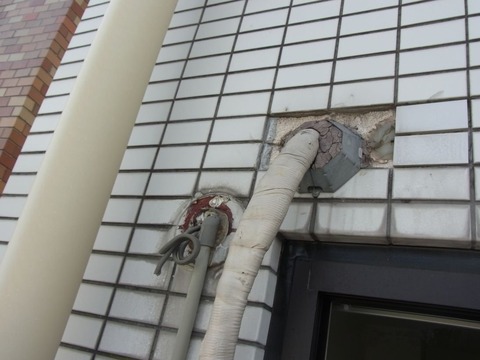 RIMG1814_R 日付なし