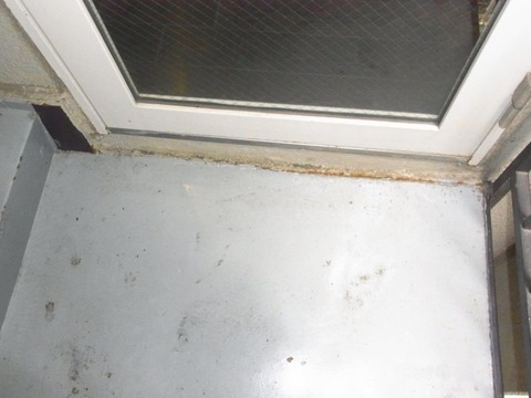 RIMG1833_R 日付なし