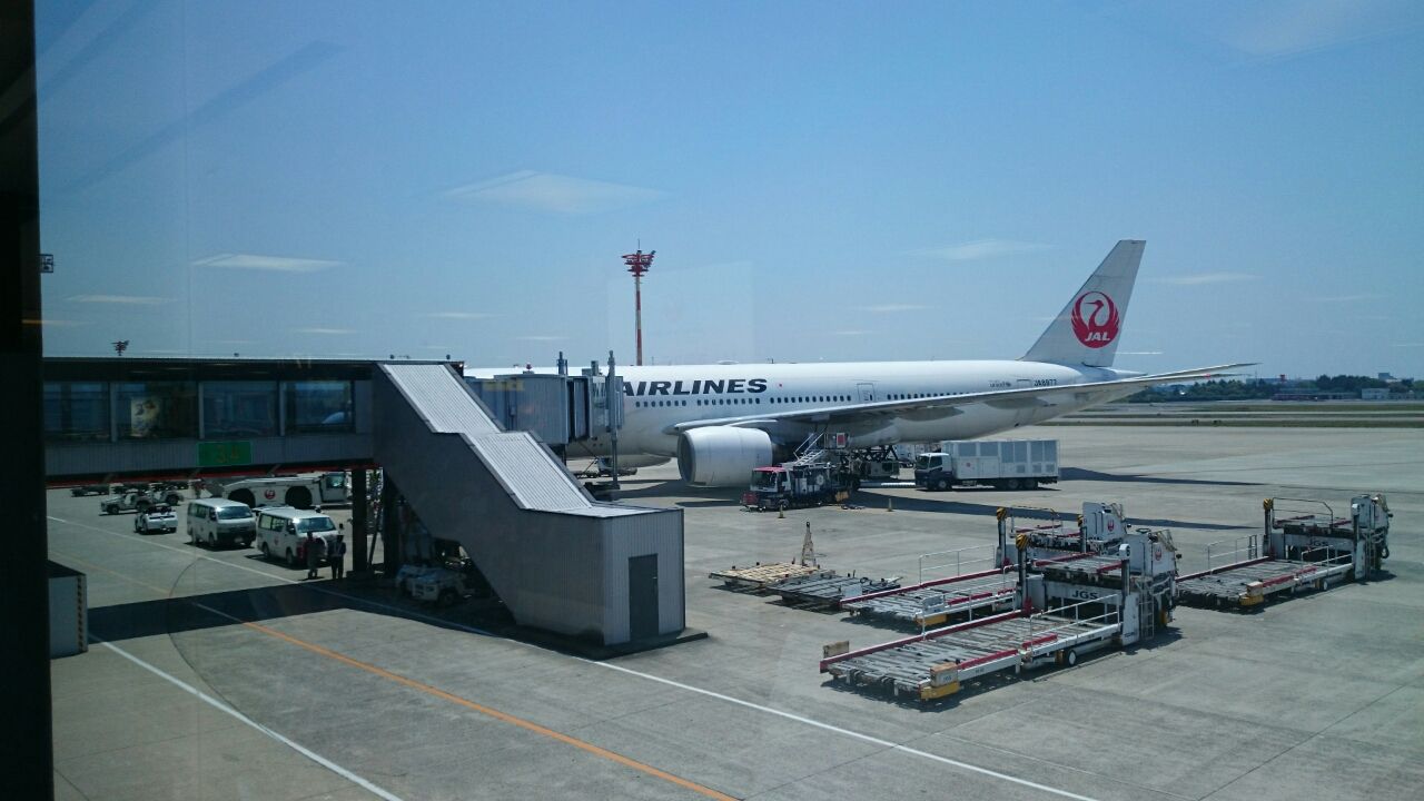 日本航空 Jal クラスj 搭乗記 Jl116 伊丹 羽田 Cerezo Golazo セレッソ大阪ブログ