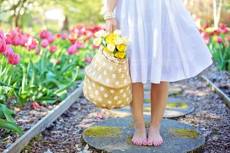 barefoot-basket-blooming-blossoming-413707