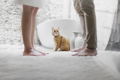 hutomo-abrianto-584600-unsplash