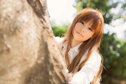 木陰から